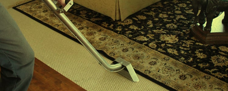 Best Rug Cleaning Torquay